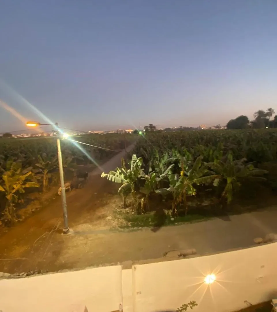 Nanis Guest House Nile View Luxor Egypt