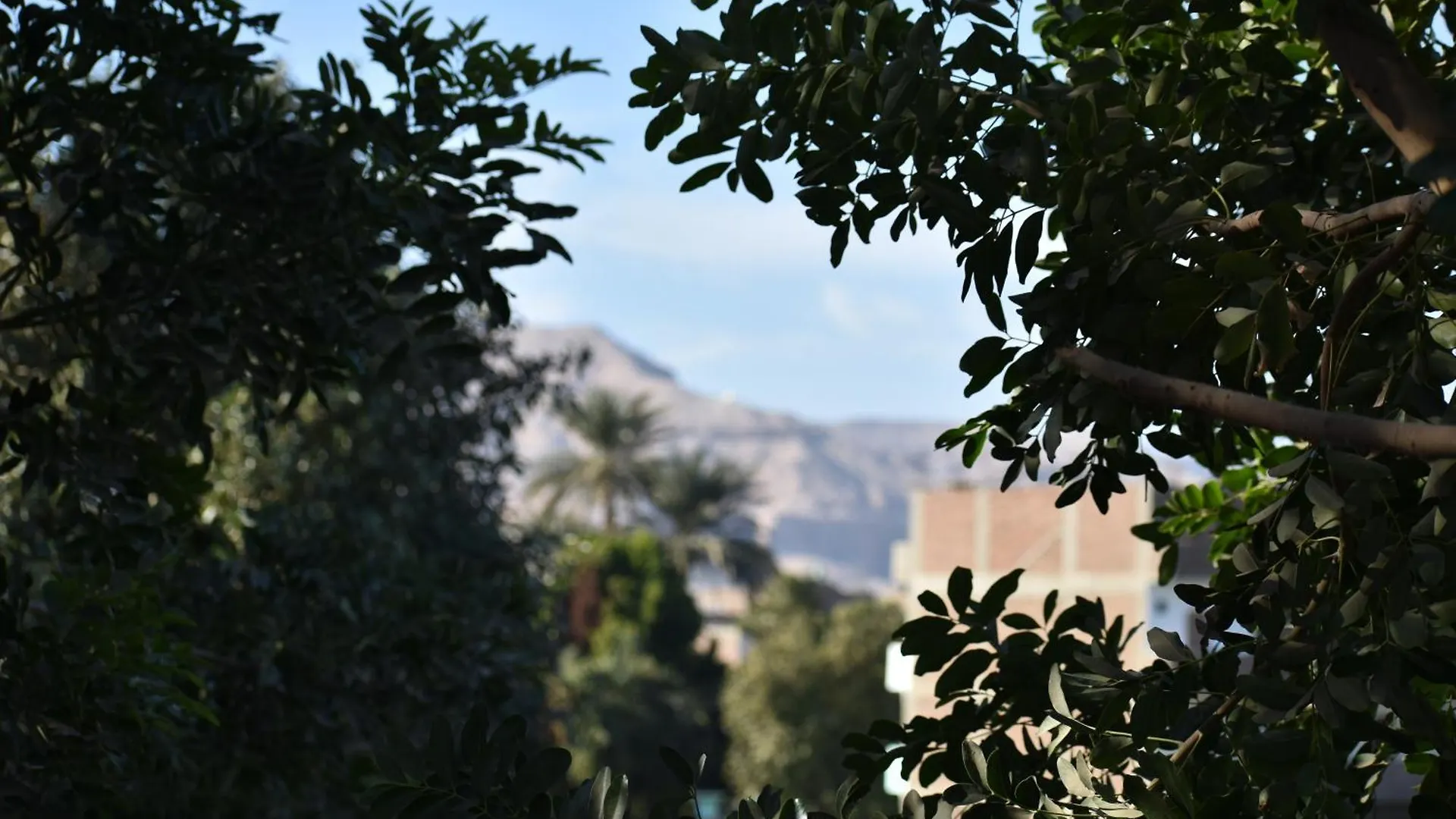 Nanis Guest House Nile View Luxor Apartment