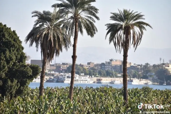 Nanis Guest House Nile View Luxor 0*,  Egypt