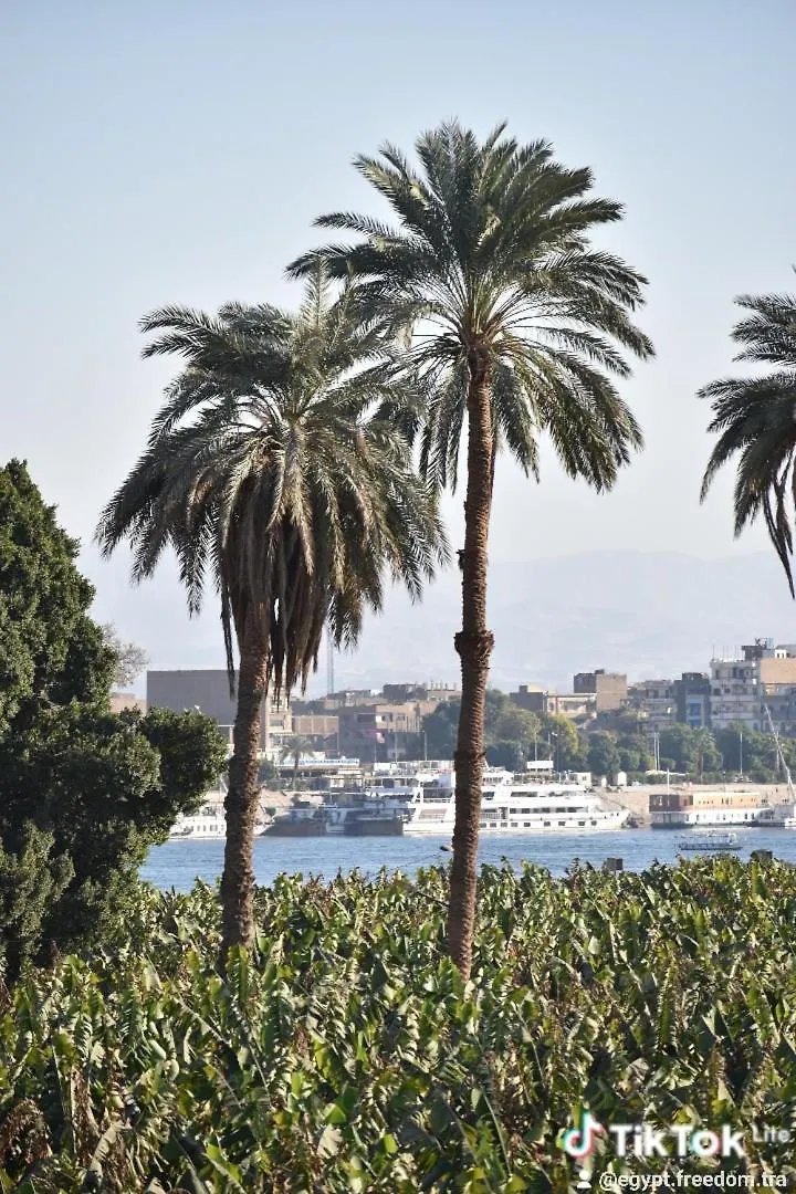 Nanis Guest House Nile View Luxor 0*,  Egypt