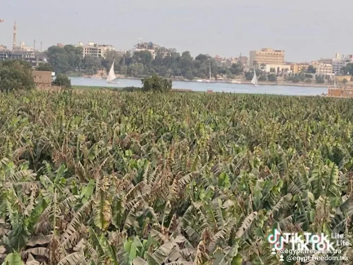 Nanis Guest House Nile View Luxor